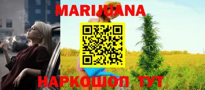 гашик Моздок