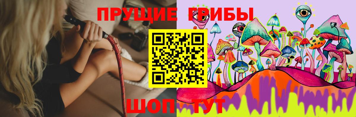 Галлюциногенные грибы Magic Shrooms  Вход с VPN  Галлюциногенные грибы Psilocybe  Коряжма 